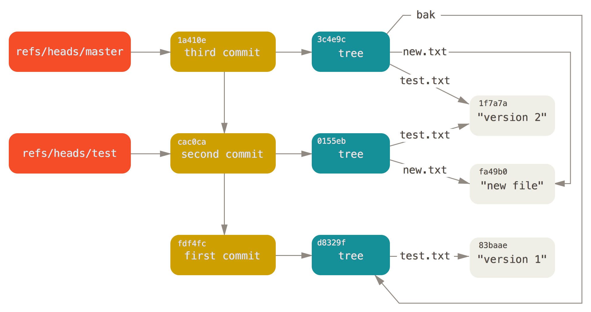 Git directory objects with branch head references included.